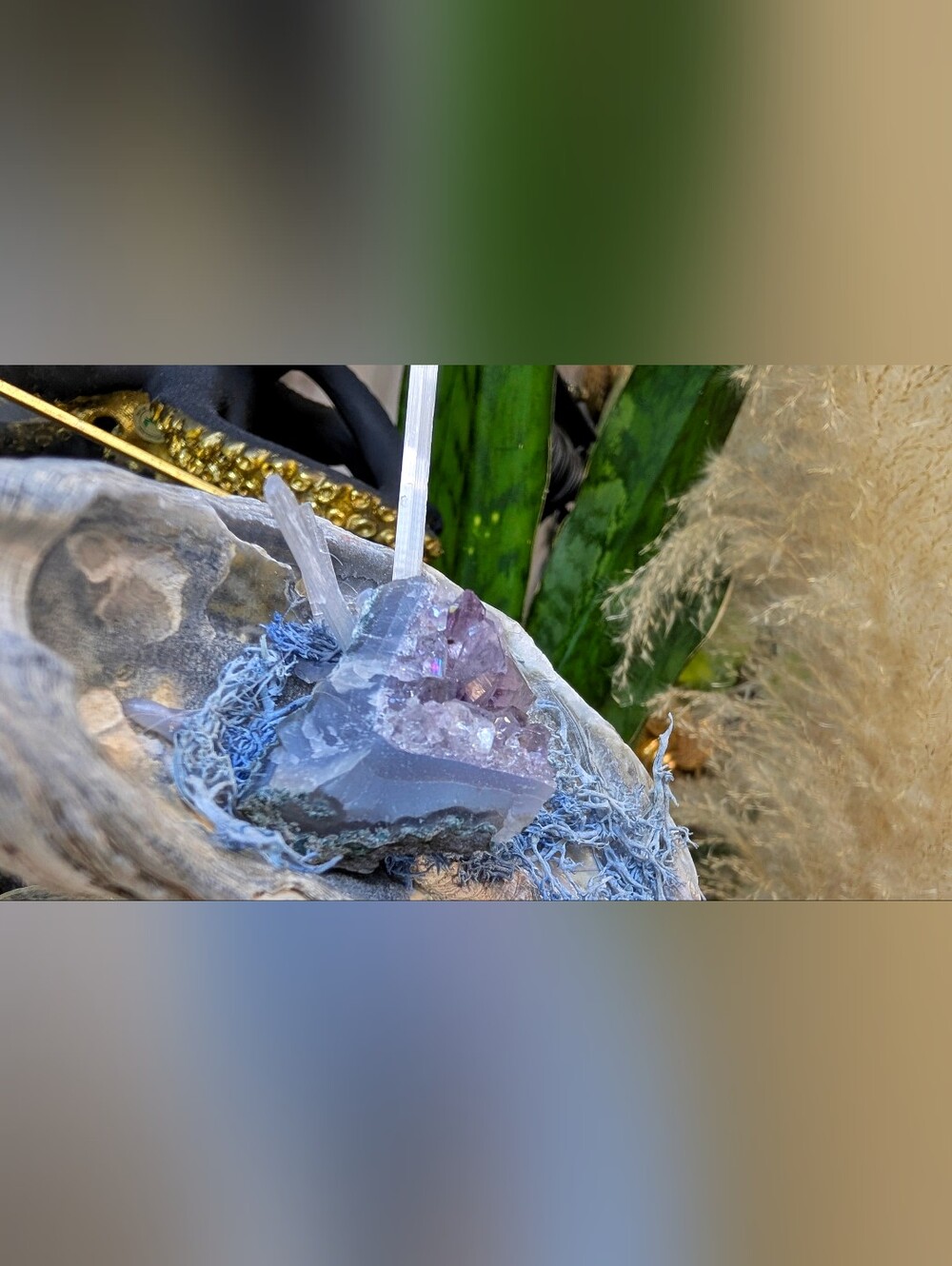 Amethyst, Agate, Selenite Crystal & Artificial Moss in Seashell (stand Included)